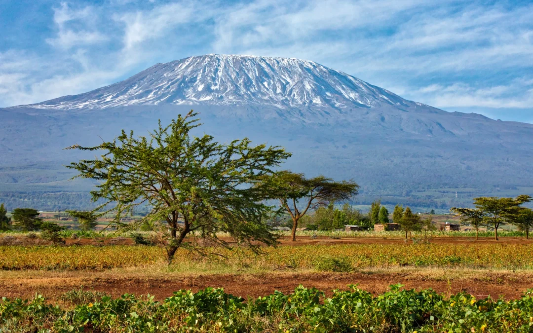 The only major Kilimanjaro route where you sleep in mountain huts rather than tents.
